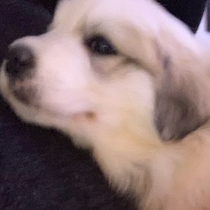 Meet your Posher, Nathan